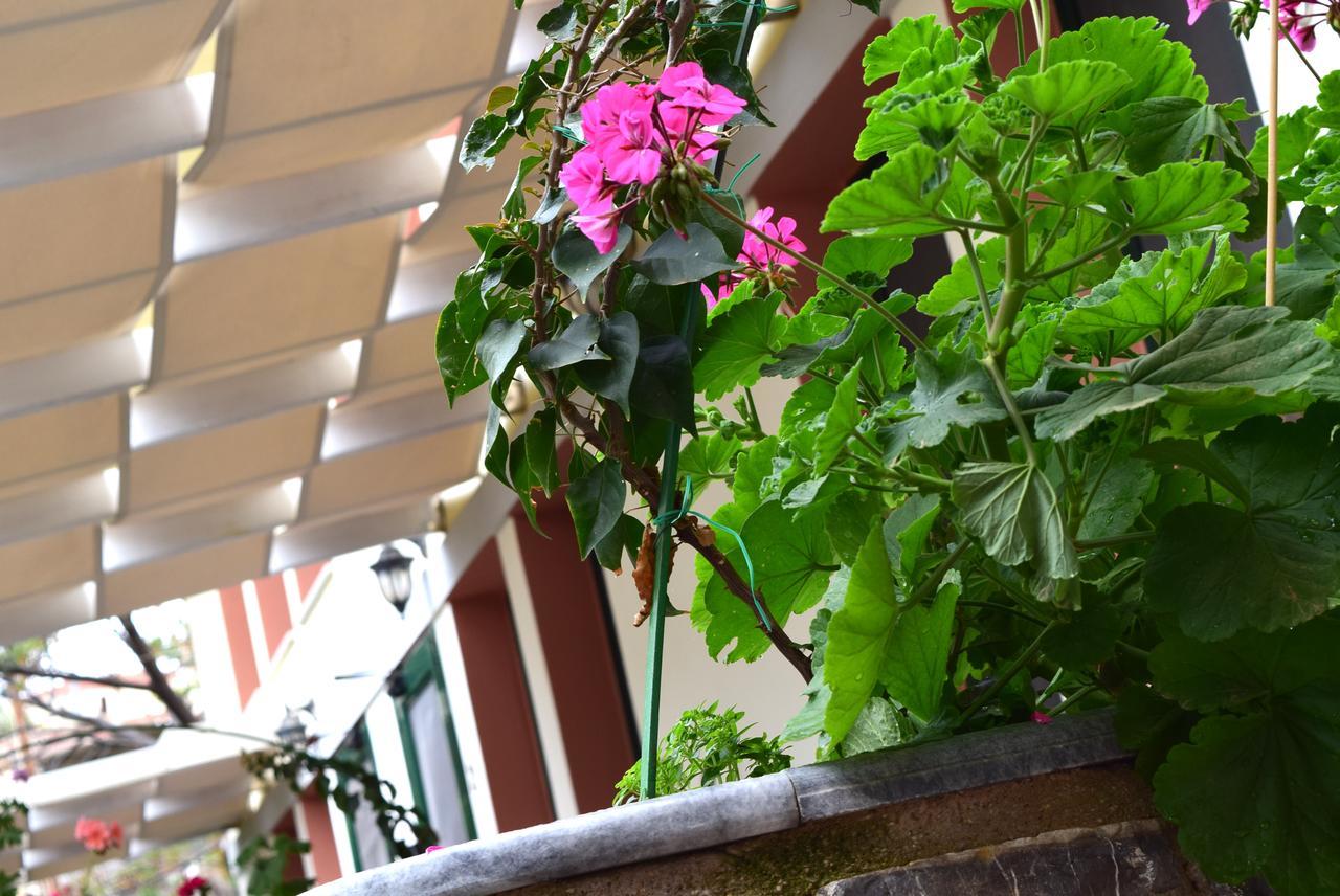 Cozy Residences In The Center Of Volissos Village - Lydia Lithos- Kültér fotó