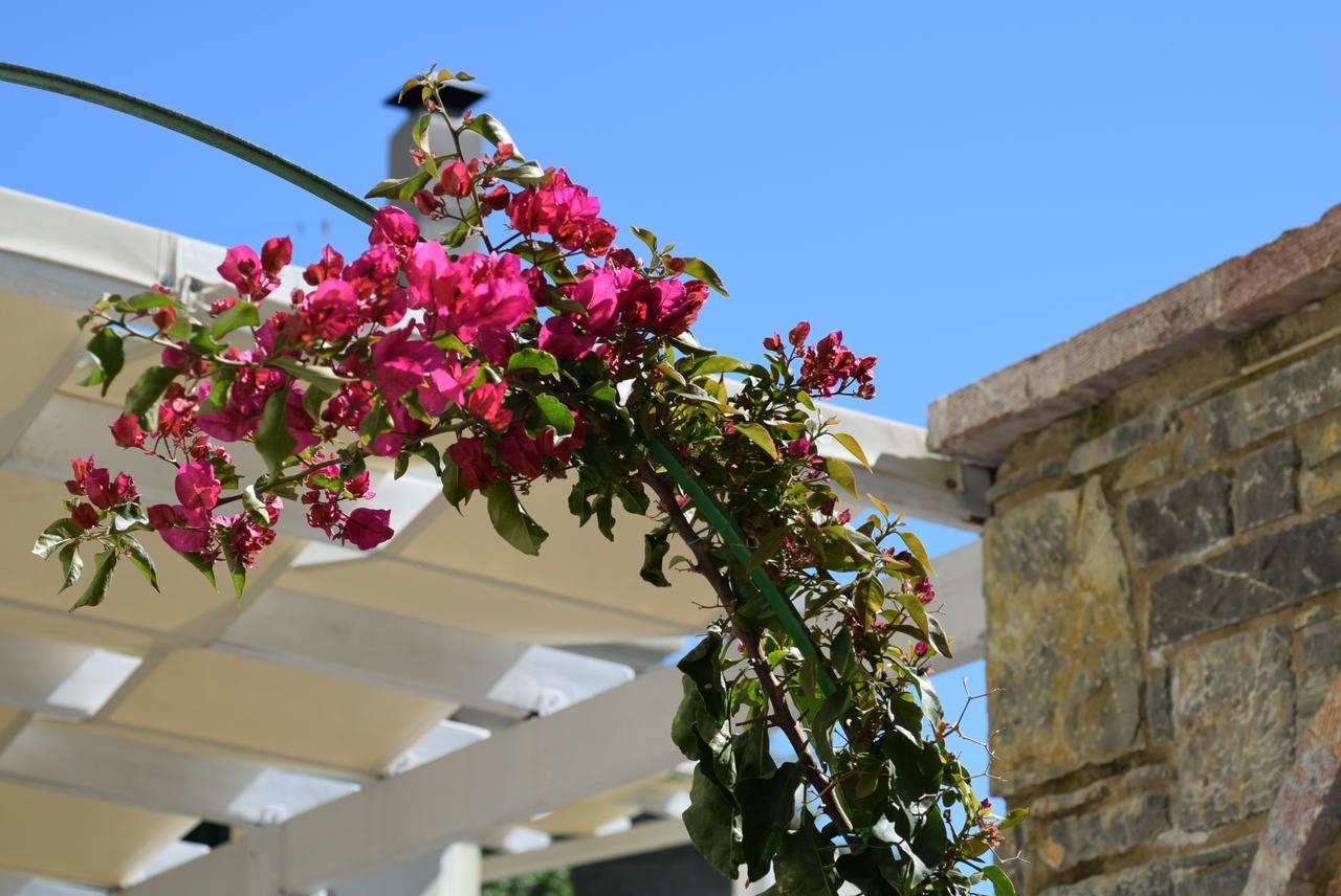 Cozy Residences In The Center Of Volissos Village - Lydia Lithos- Kültér fotó